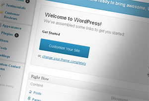 Wordpress Admin Screen