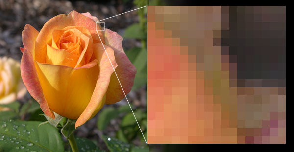 Example of bitmap image with enlargement