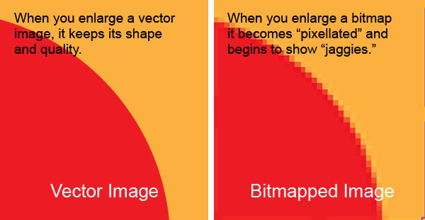 Shows the difference between vector and bitmap