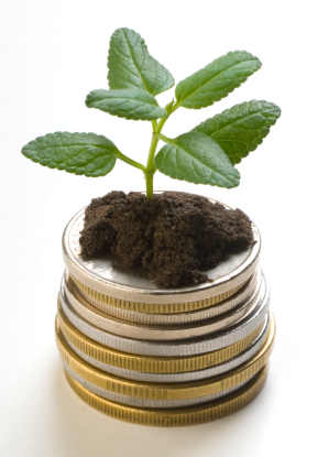plant growing out of coins shows good investment of marketing budget