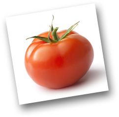 tomato